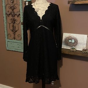 Beautiful Express Lace Dress